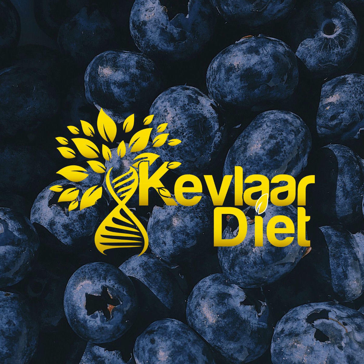 Show cover of Kevlaar Diet