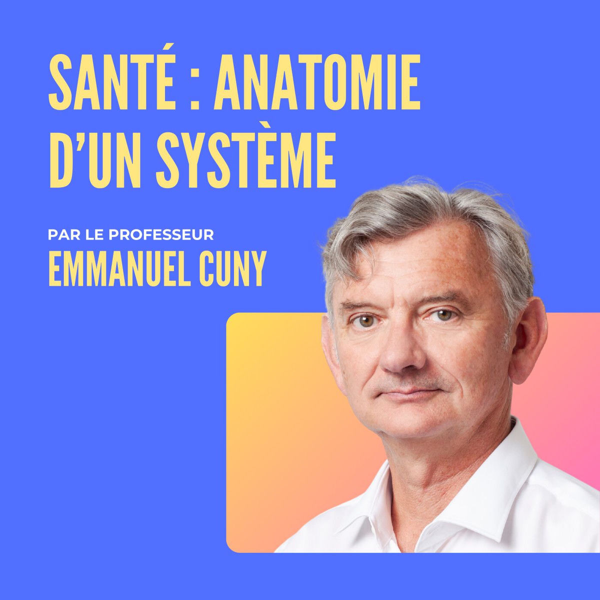 Show cover of Santé : Anatomie d'un système