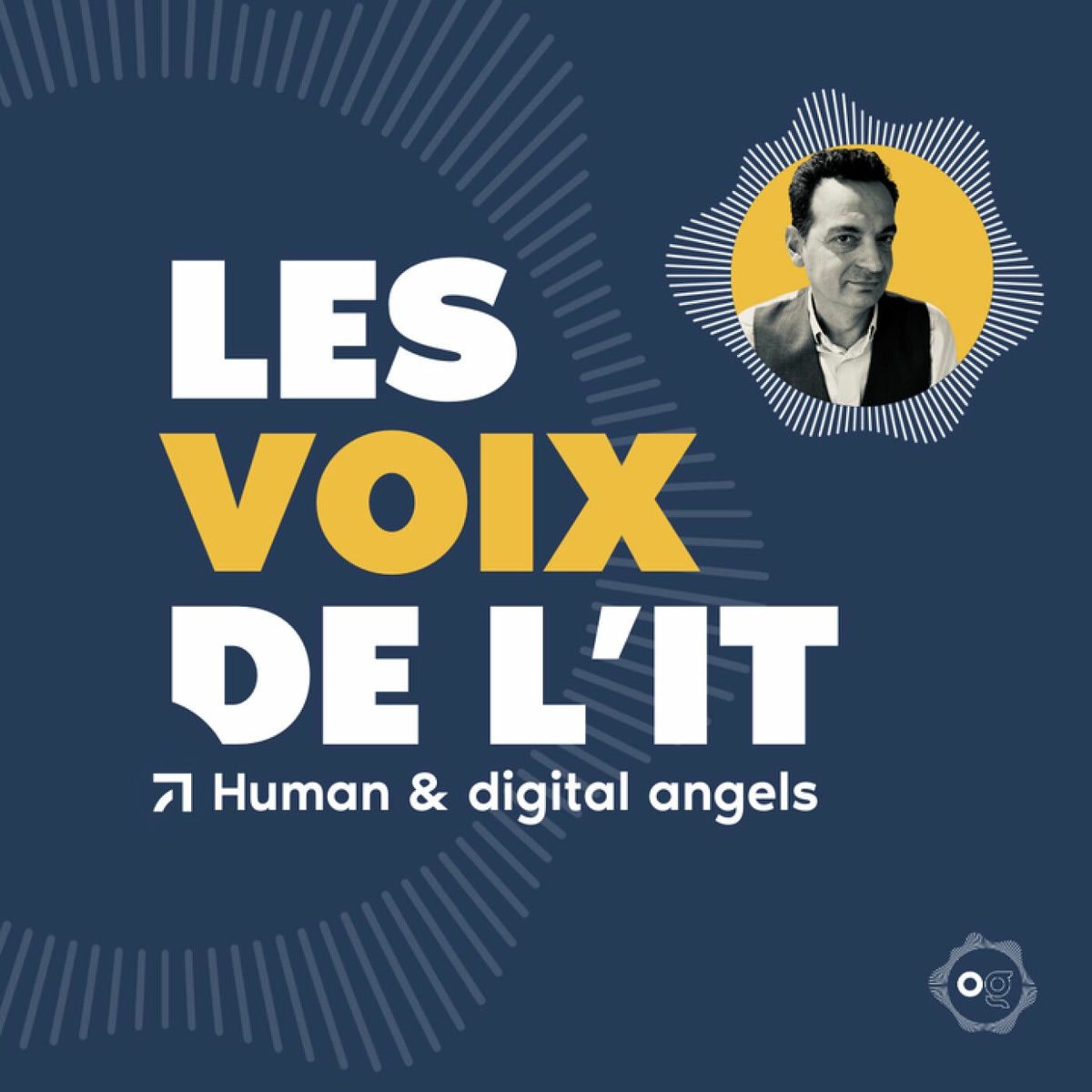 Show cover of Les voix de l'IT