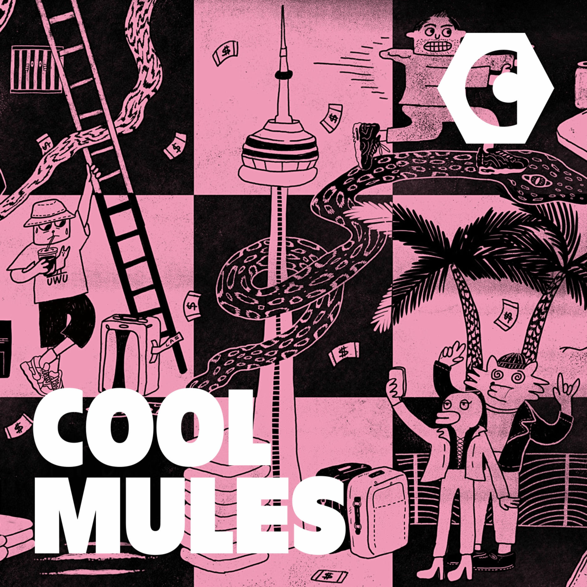 Show cover of Cool Mules | Canadaland Investigates