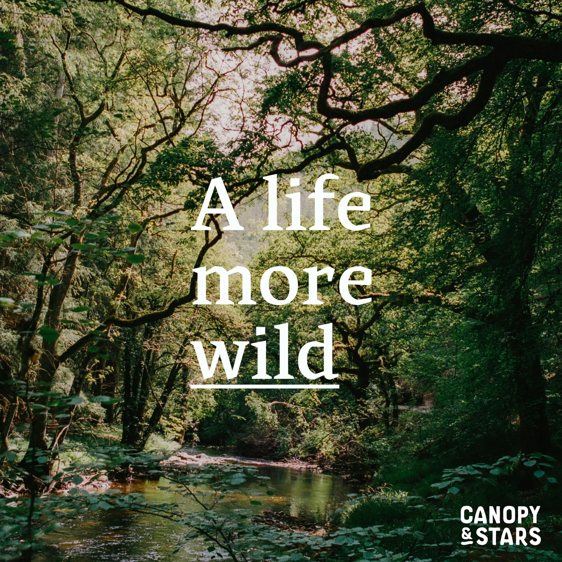 Show cover of A Life More Wild