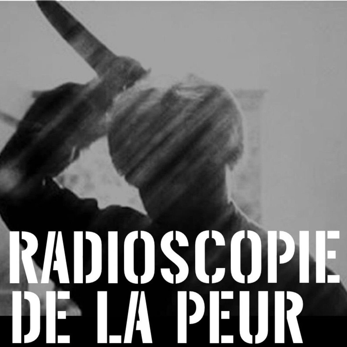 Show cover of Radioscopie de la peur