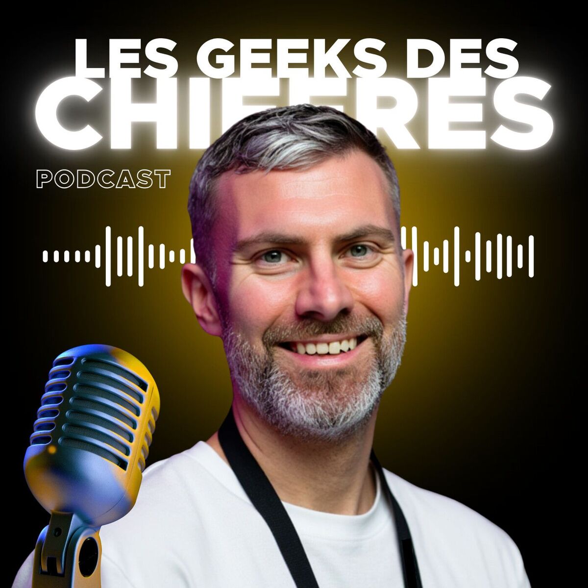 Show cover of Les Geeks des Chiffres