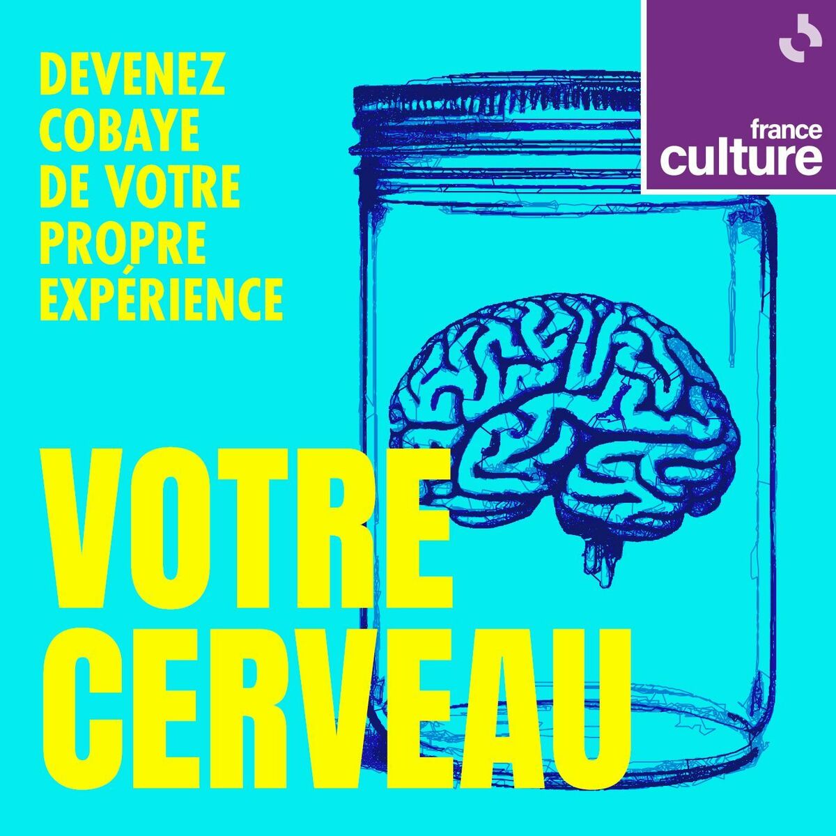 Show cover of Votre cerveau