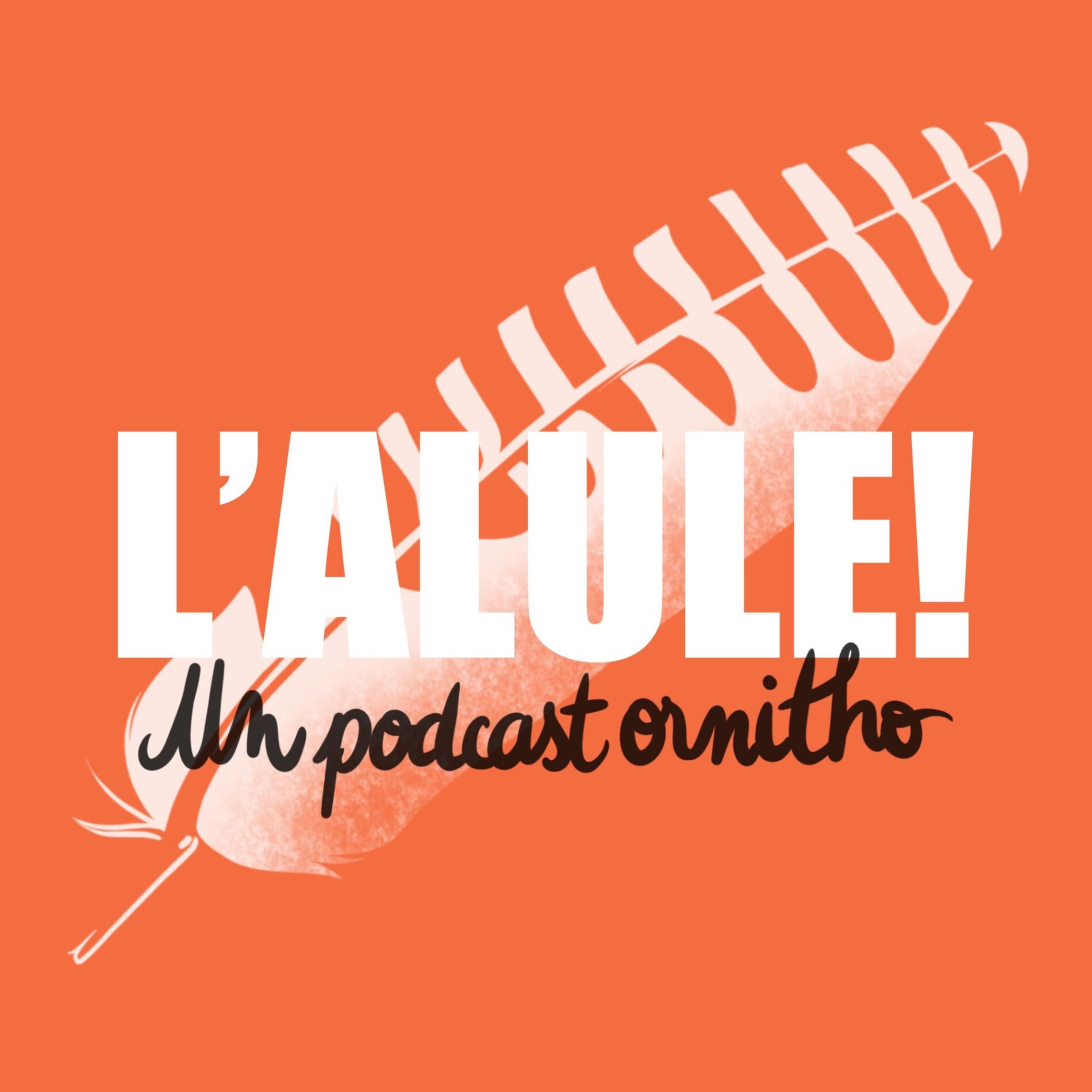 Show cover of L'Alule ! Un podcast ornitho🪶