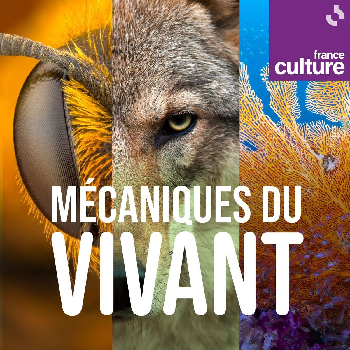 Show cover of Mécaniques du vivant