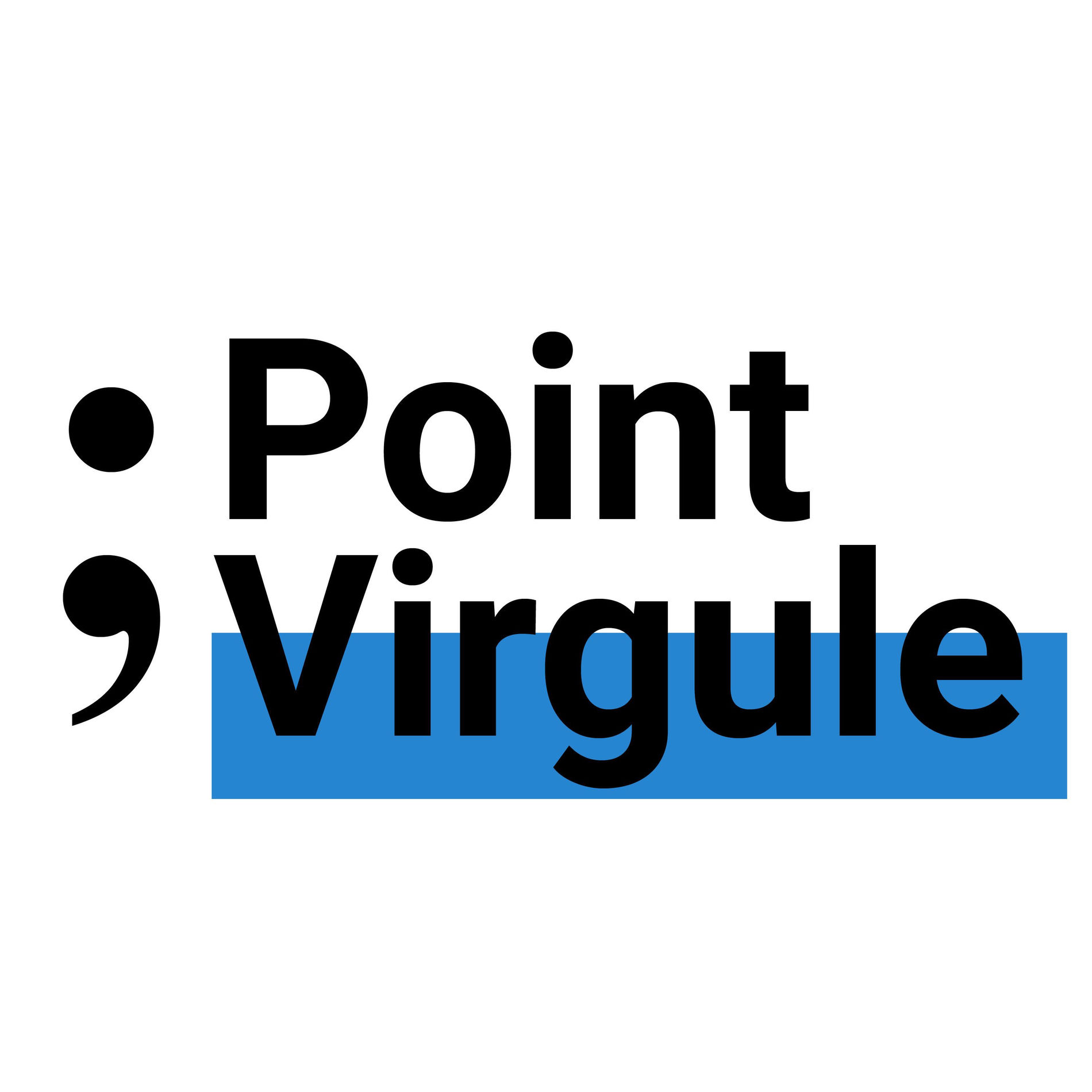 Show cover of Point Virgule