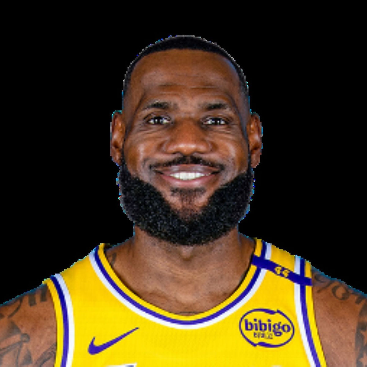 Show cover of LeBron James, il giovane predestinato del basket NBA