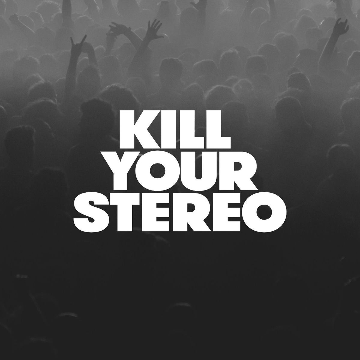 Show cover of Kill Your Stereo Podcast