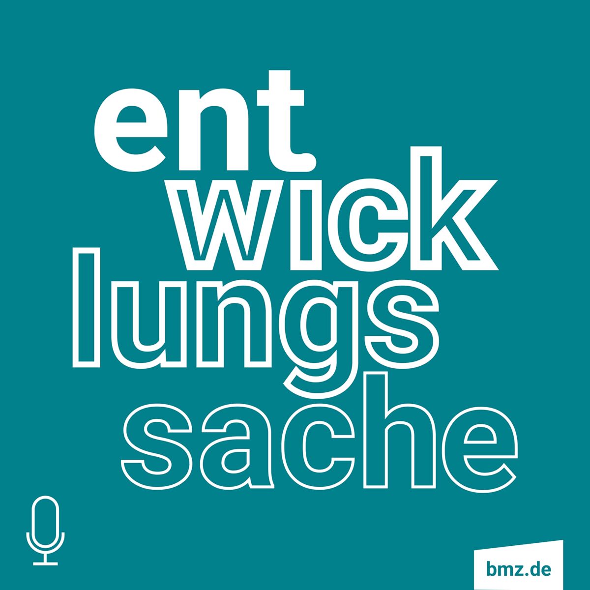 Show cover of Entwicklungssache