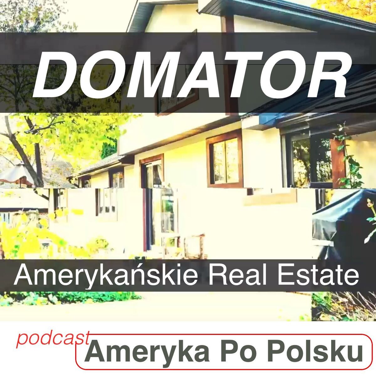 Show cover of DOMATOR - Amerykańskie Real Estate