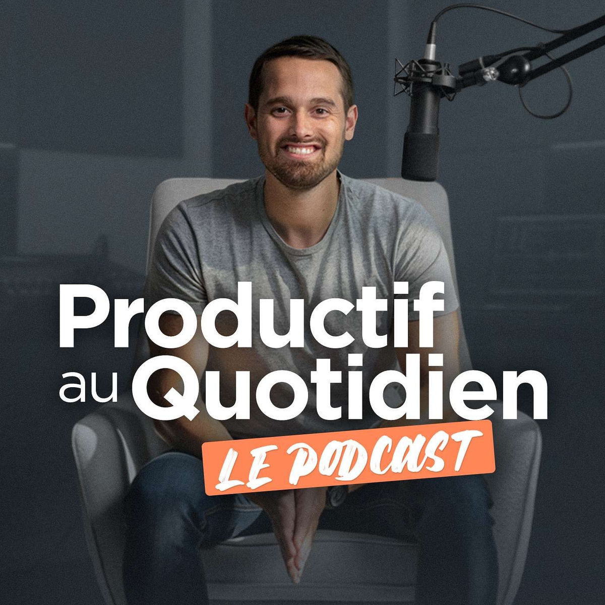 Show cover of Productif au quotidien