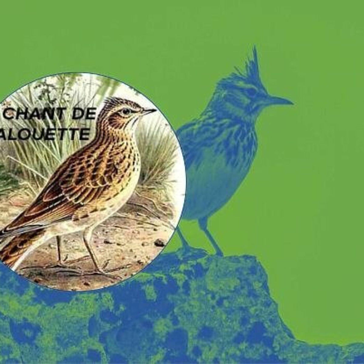 Show cover of Le Chant de l'Alouette