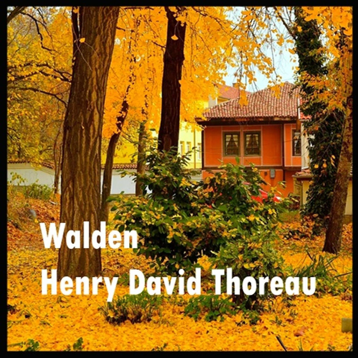 Show cover of Walden - Audiobook
