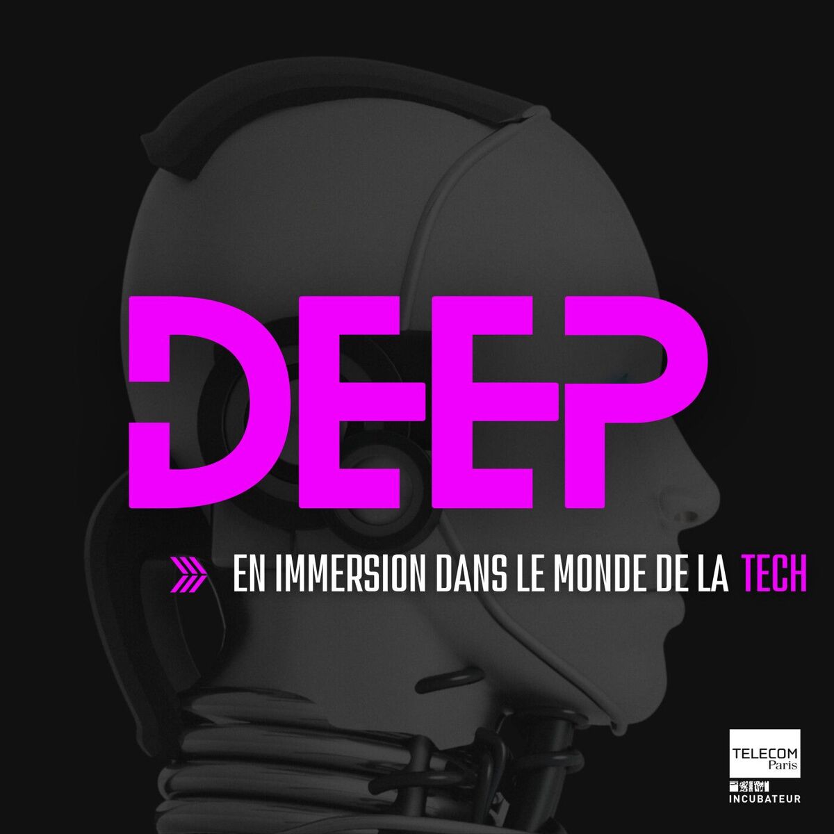 Show cover of Deep, en immersion dans le monde de la Tech.
