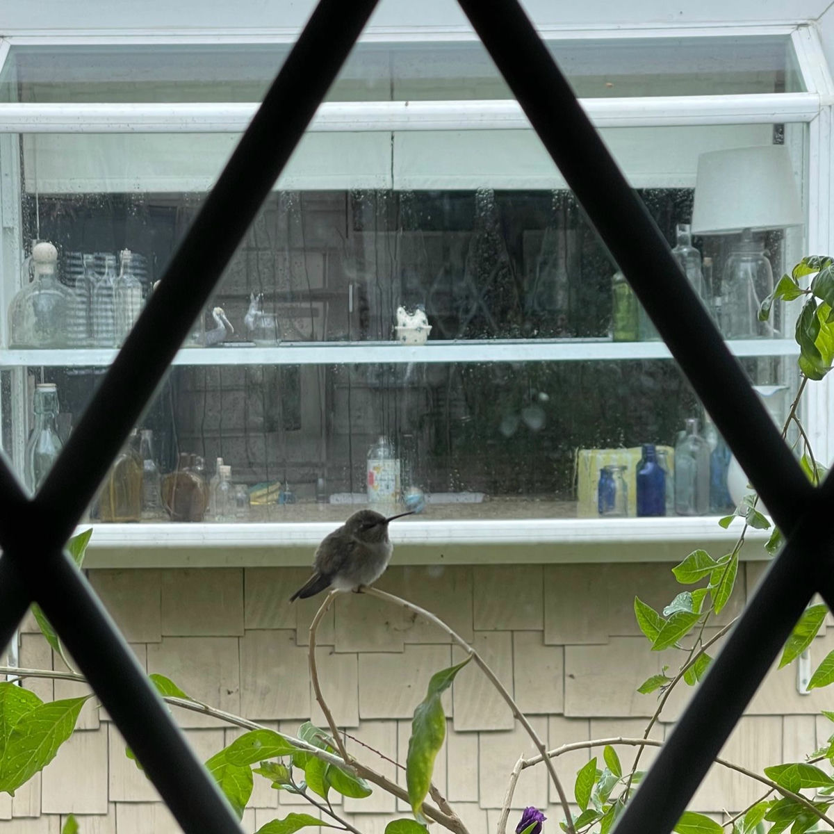 Show cover of The Spirit-Filled Life: Discover The Joy