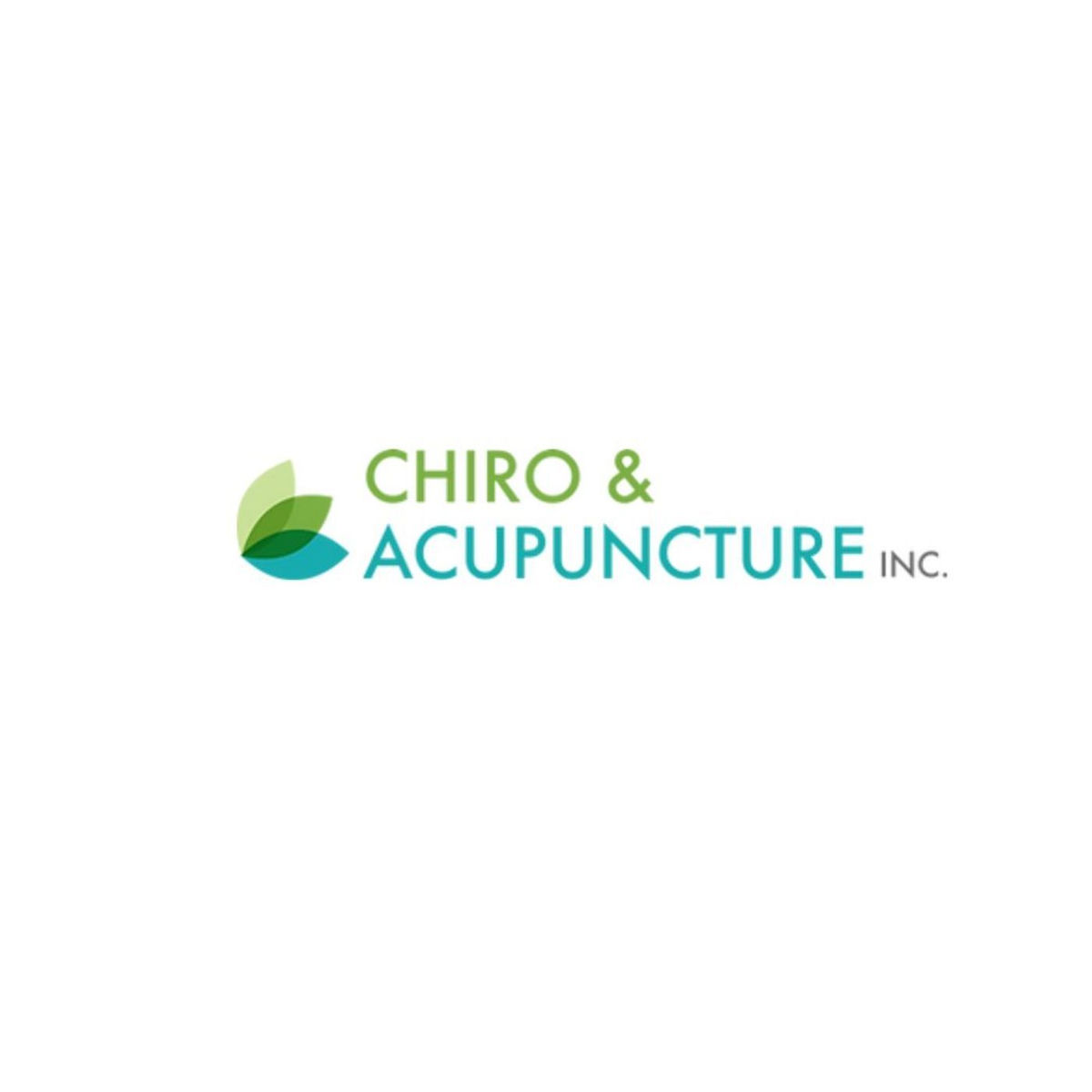 Show cover of Chiro & Acupuncture Inc