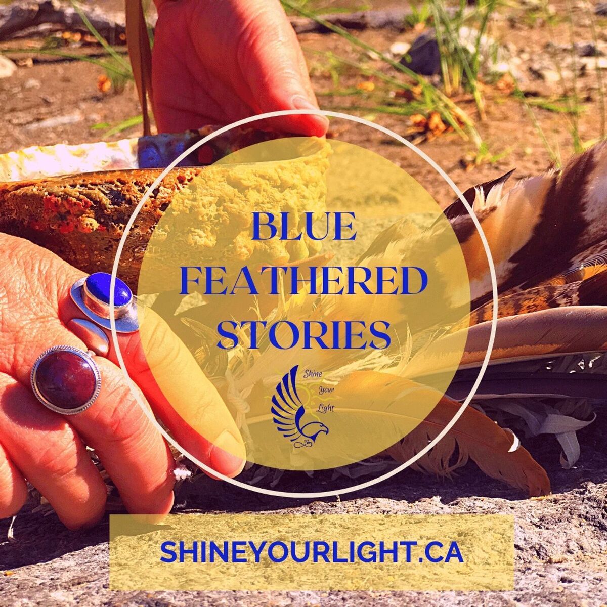 Show cover of Blue Feathered Stories