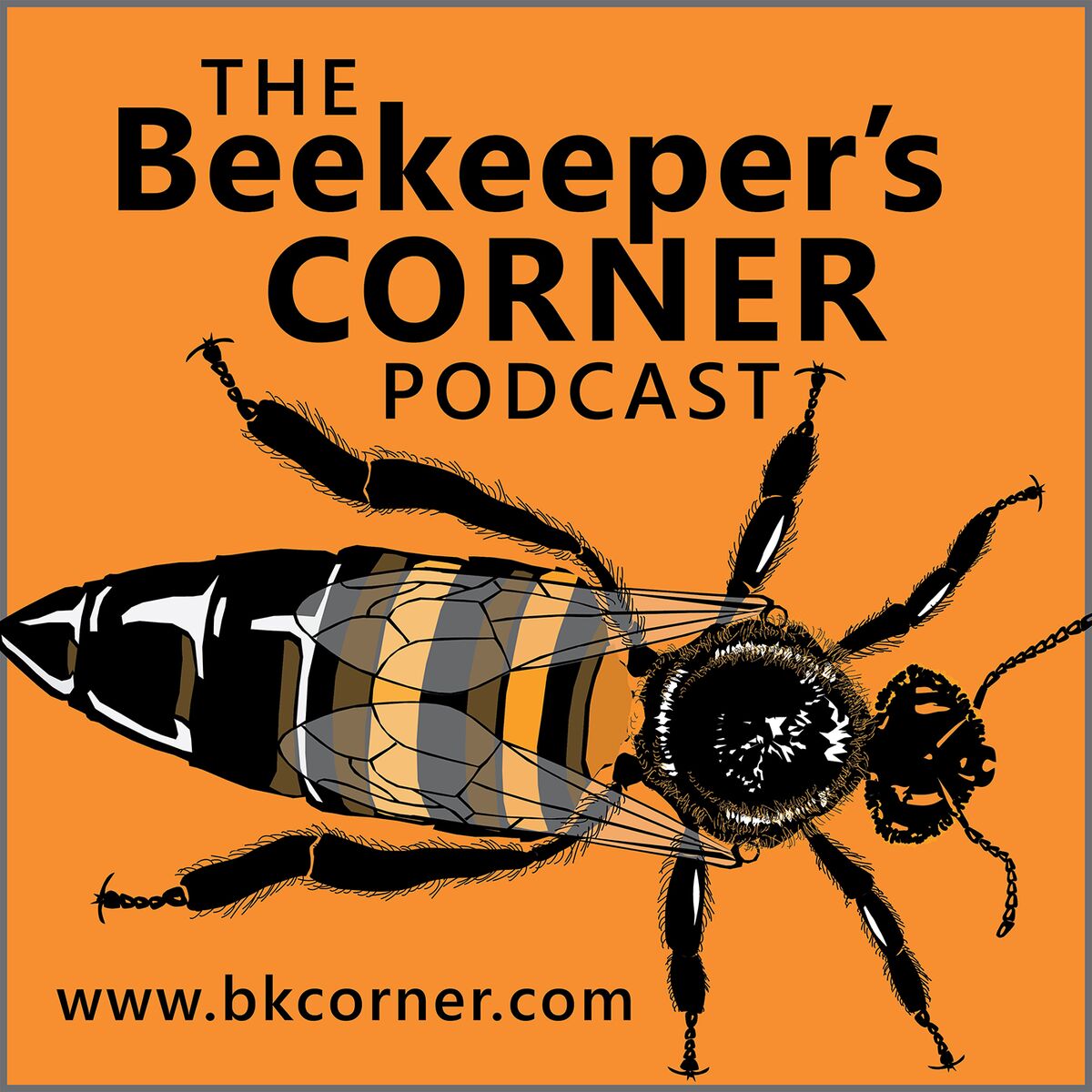 Show cover of The Beekeeper's Corner Beekeeping Podcast