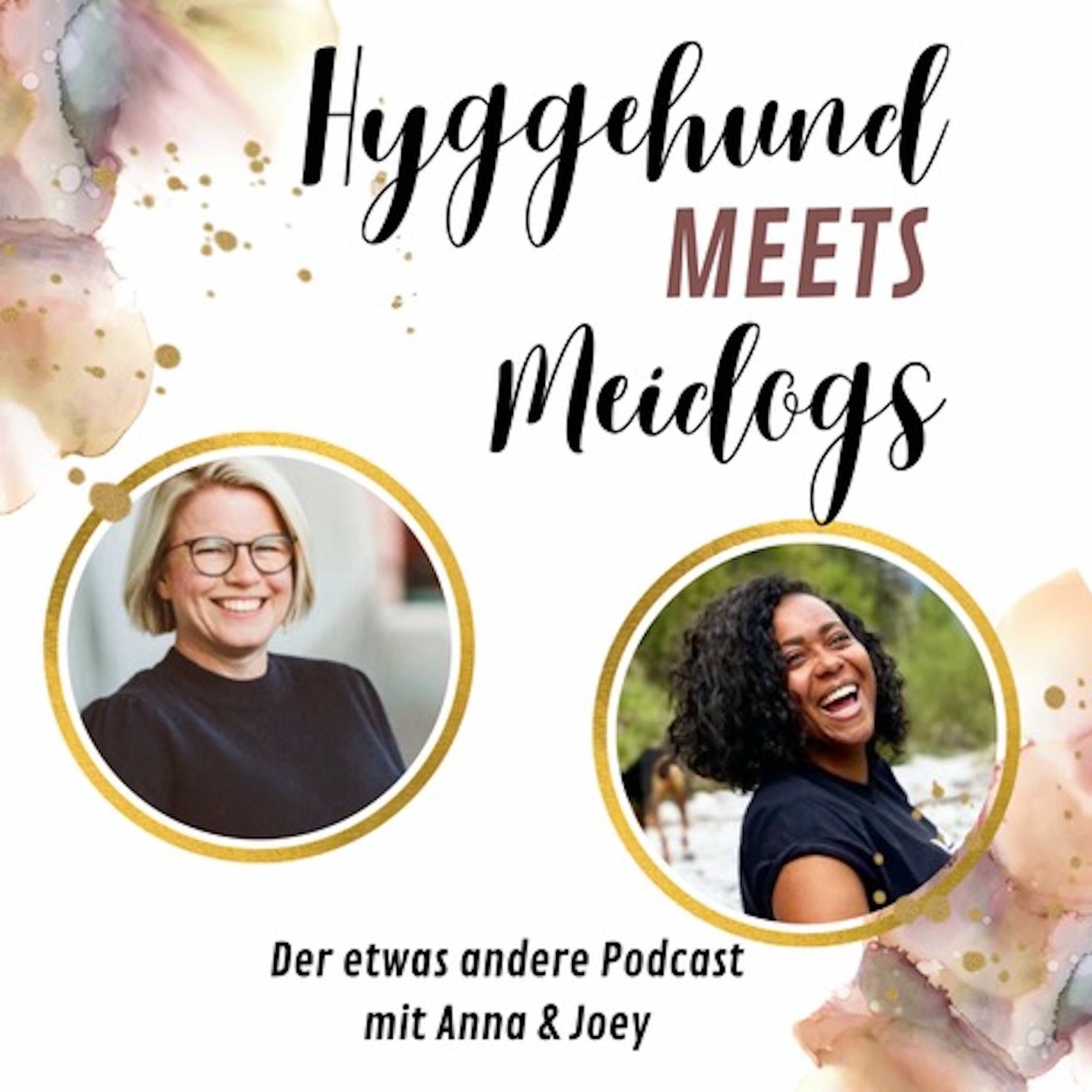 Show cover of Hyggehund meets Meidogs