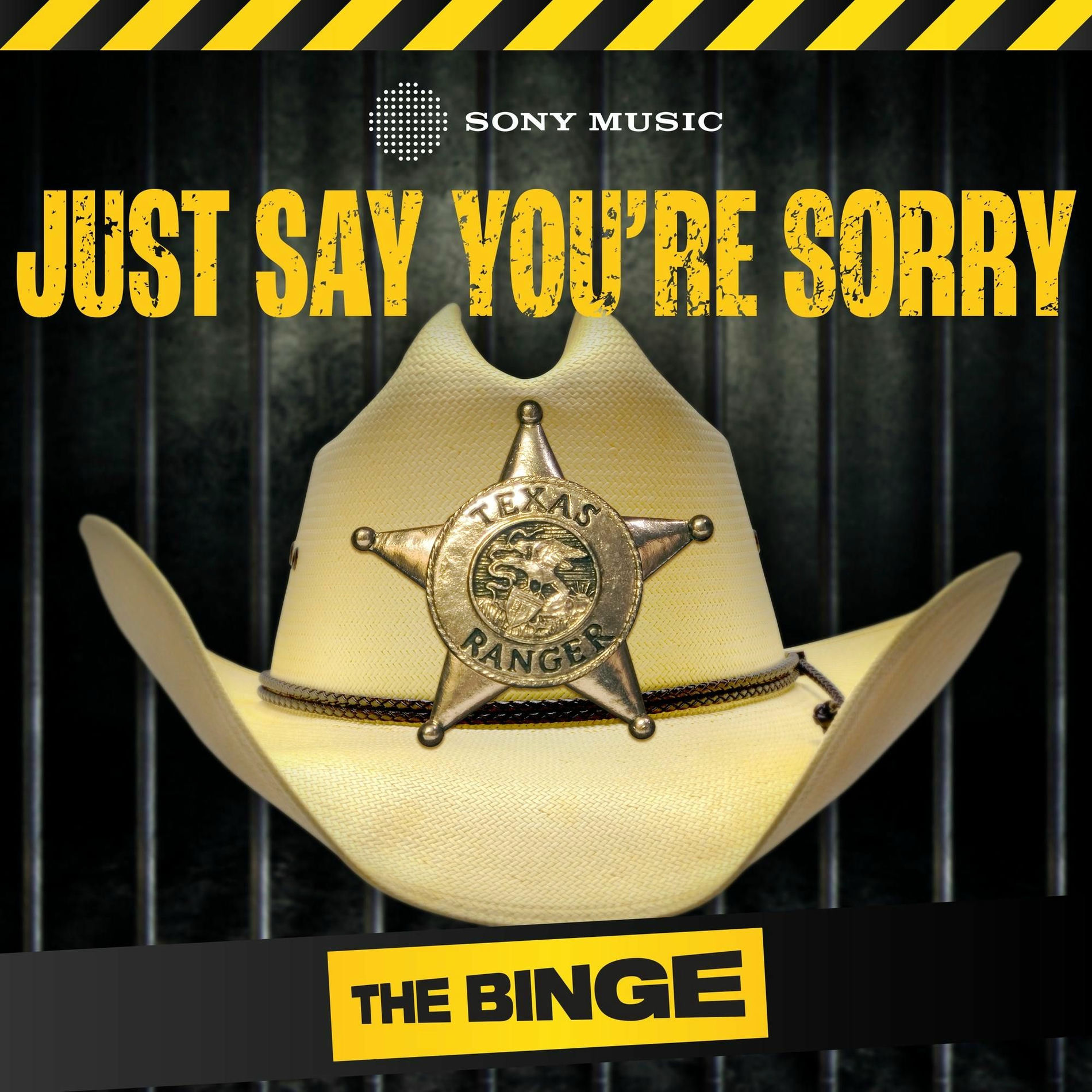 Show cover of Just Say You're Sorry