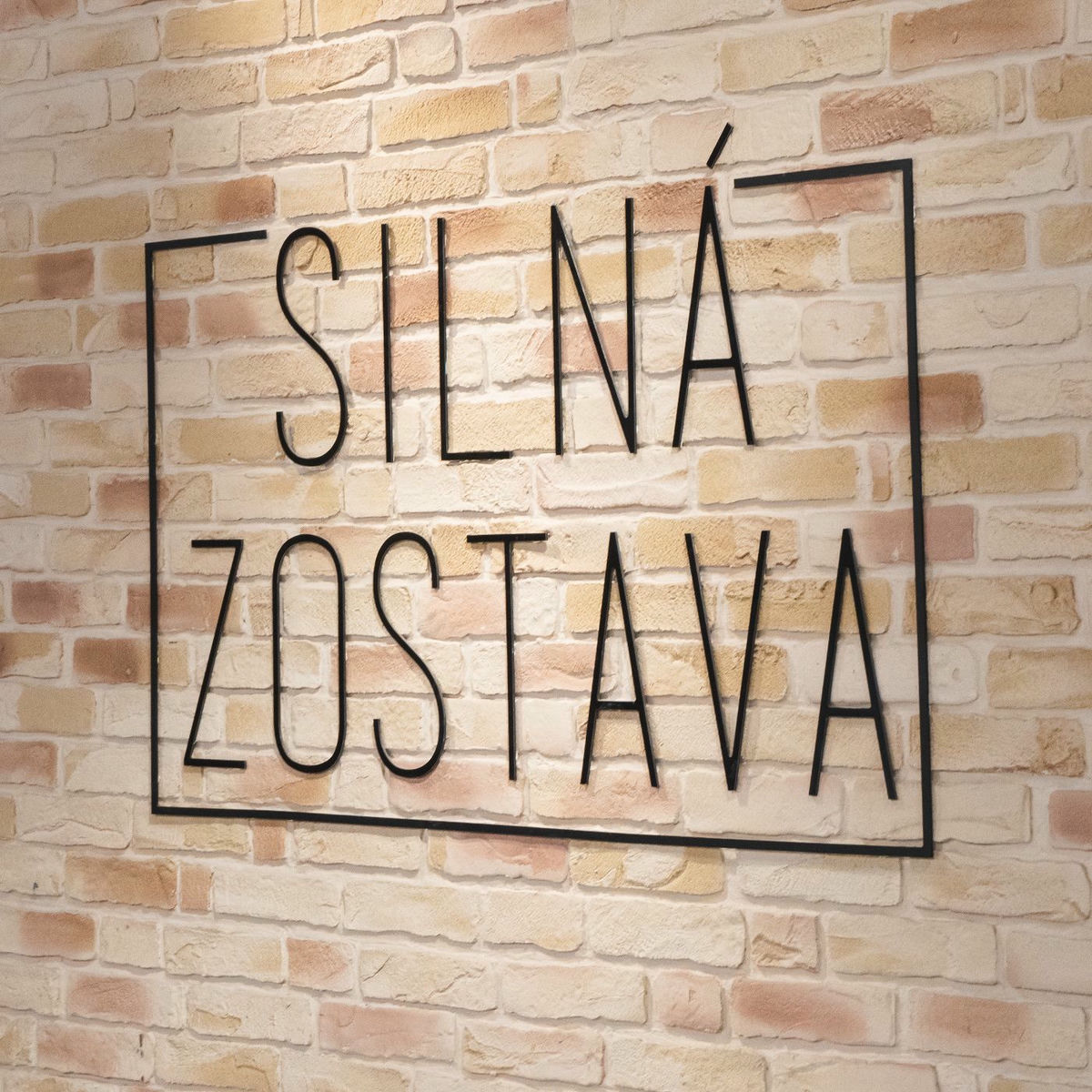Show cover of Silná zostava