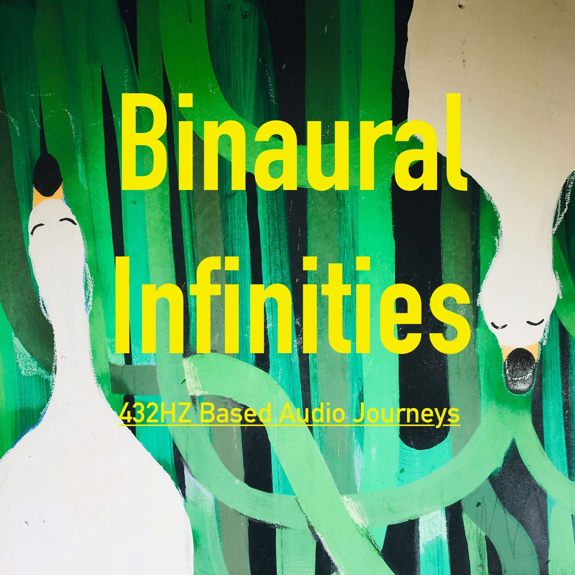 Show cover of Binaural Infinities