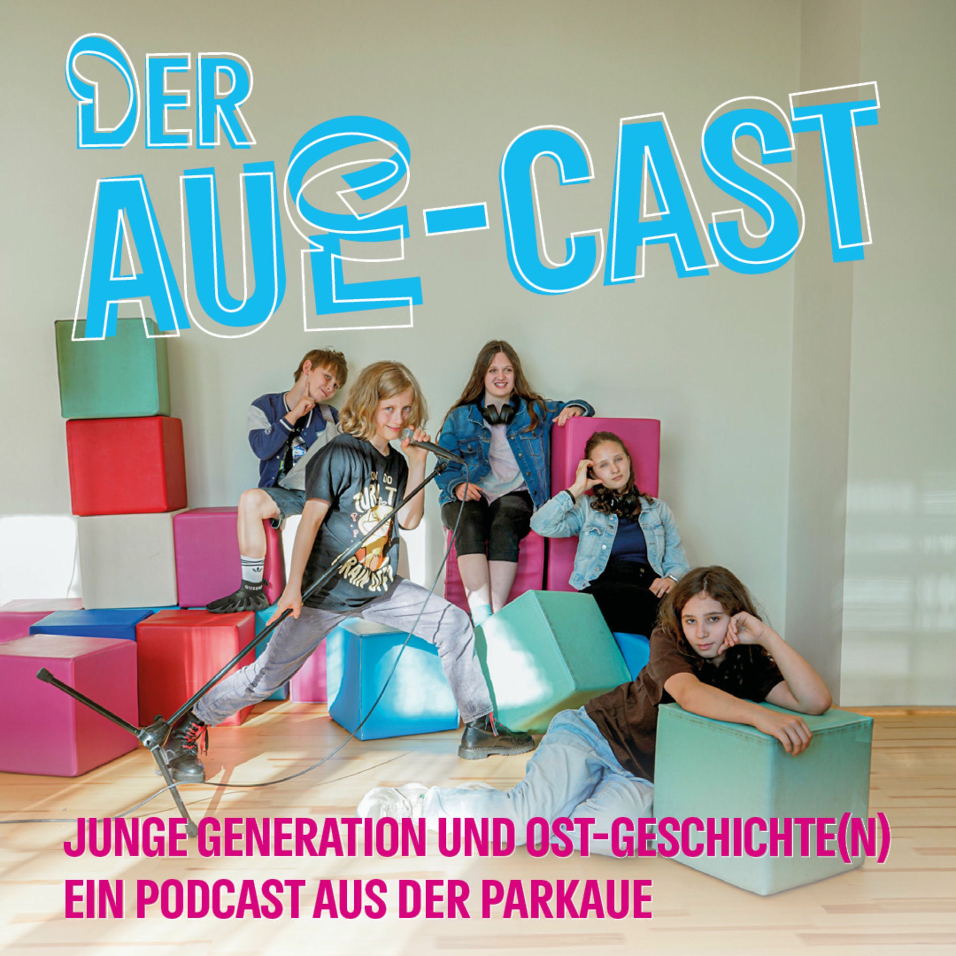 Show cover of Der Aue-Cast