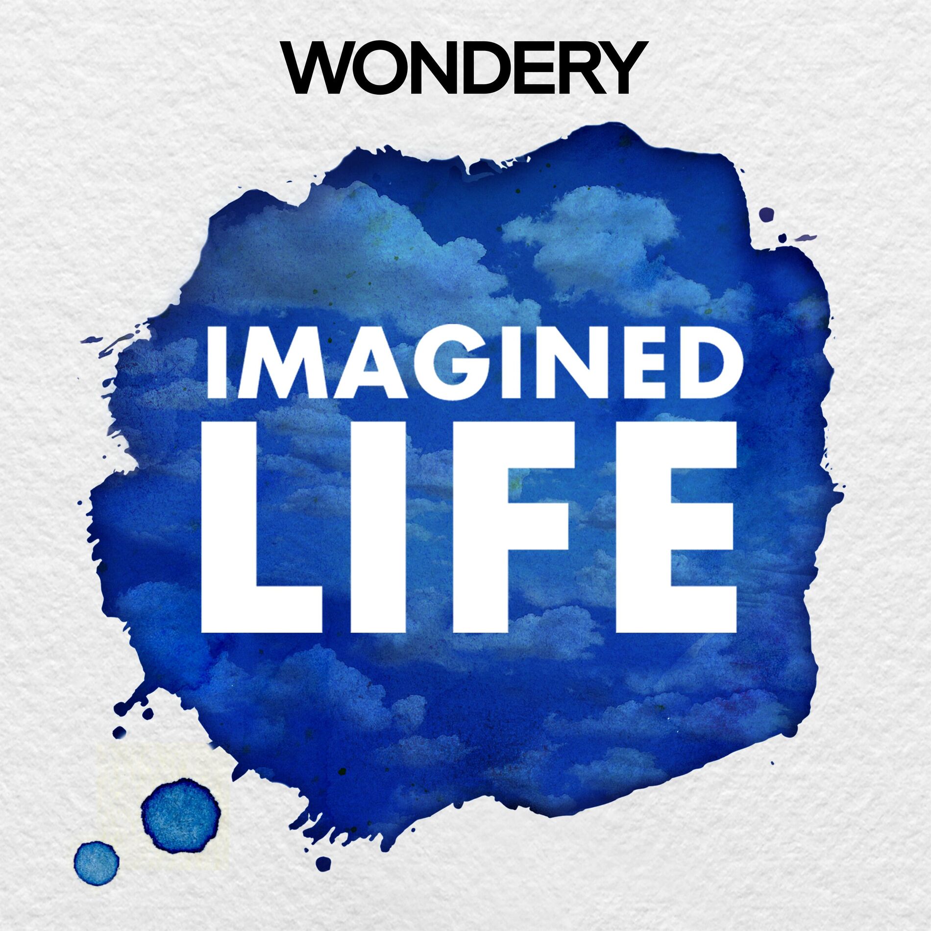 Show cover of Imagined Life