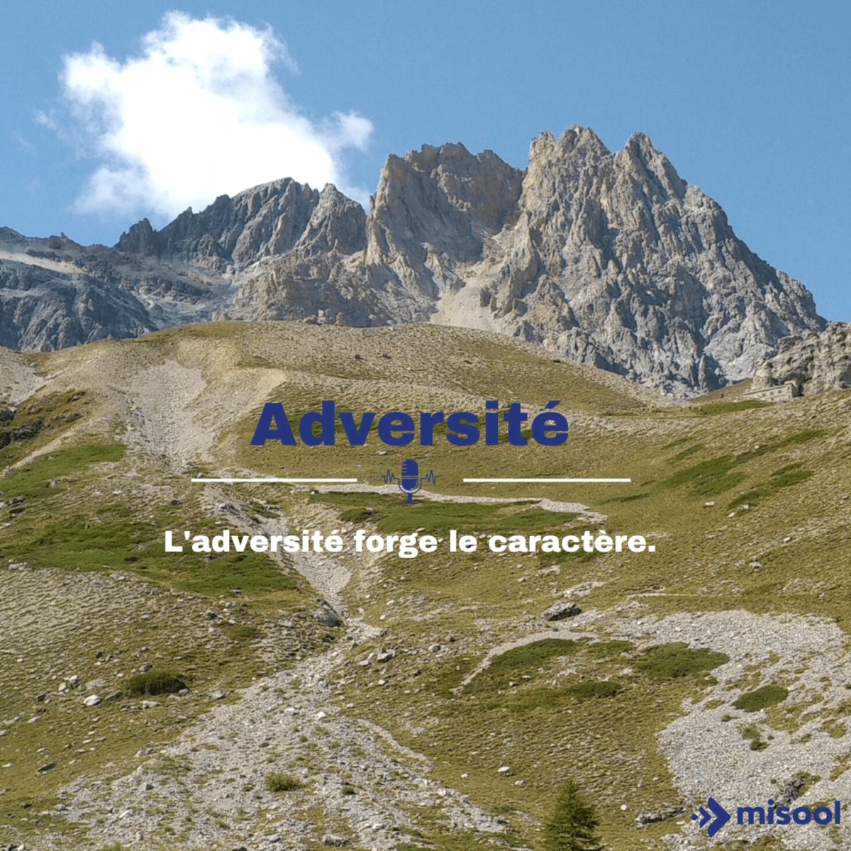 Show cover of Adversité