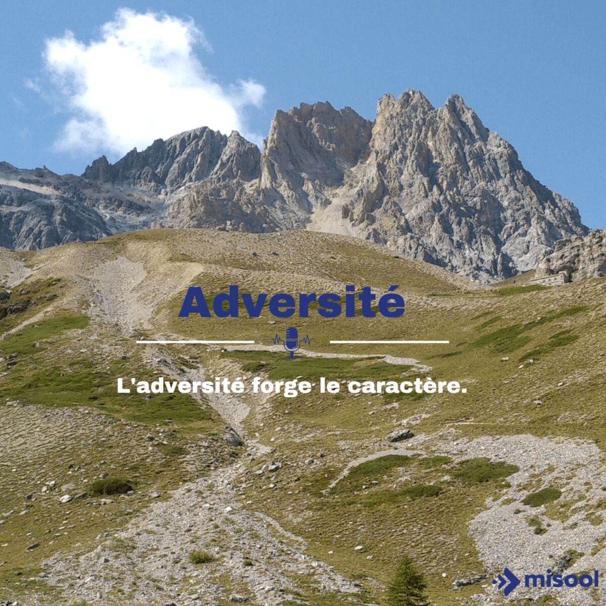 Show cover of Adversité