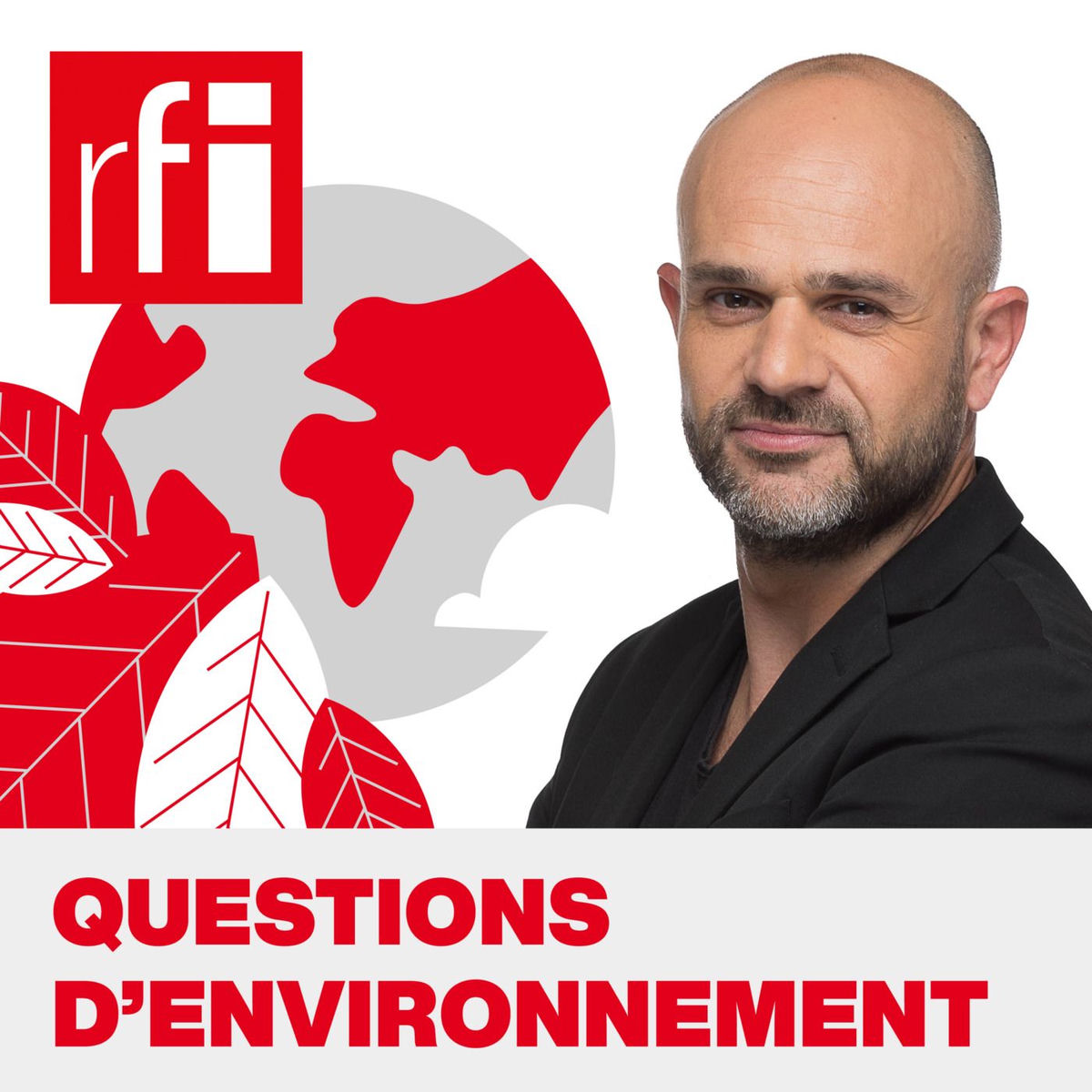 Show cover of Questions d'environnement