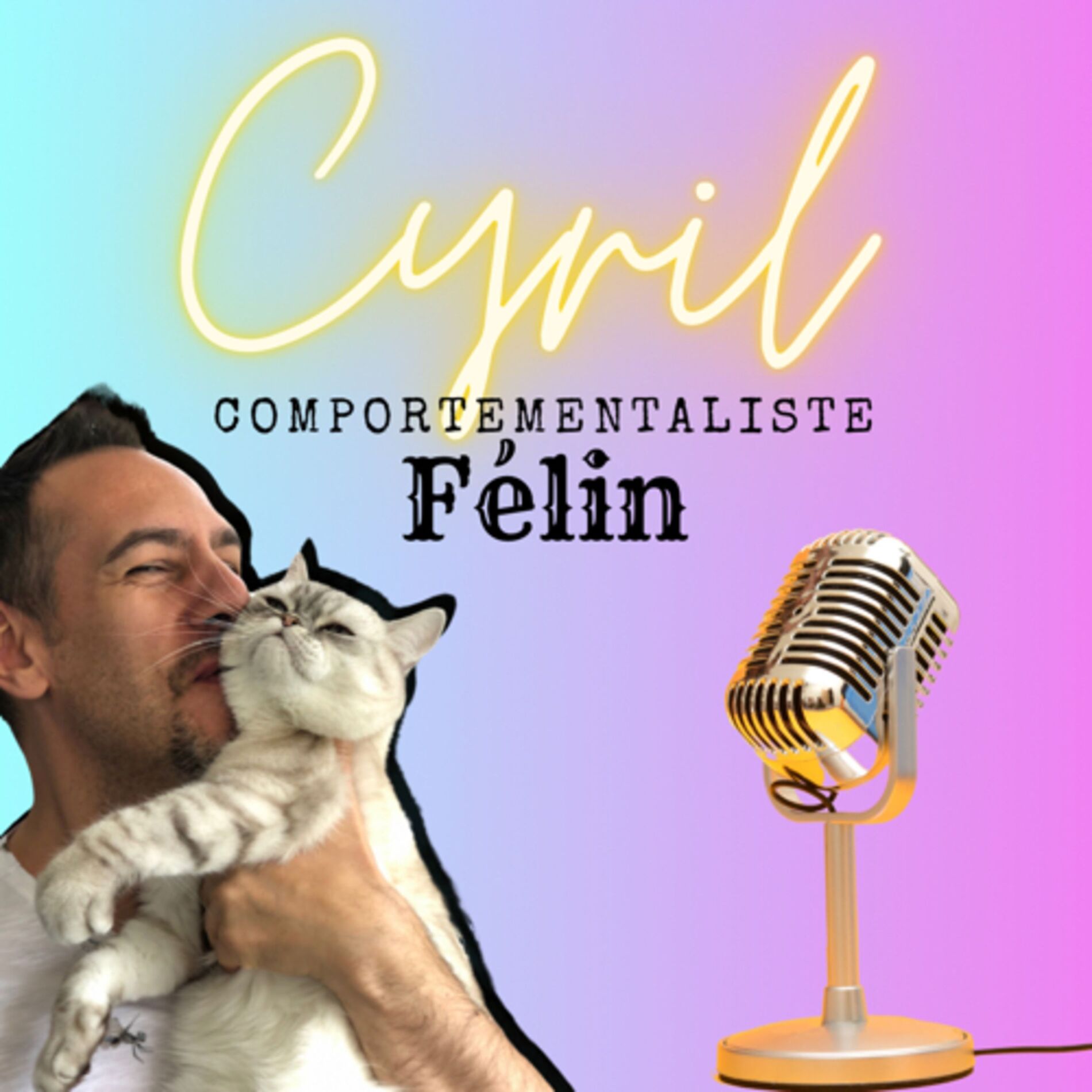 Show cover of Le Mystère Miaou, un podcast de chats.