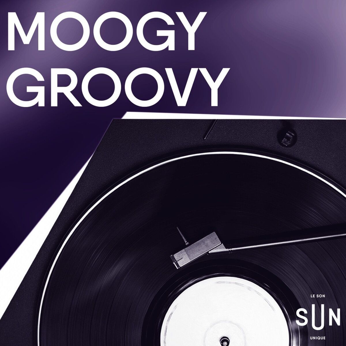 Show cover of Moogy groovy