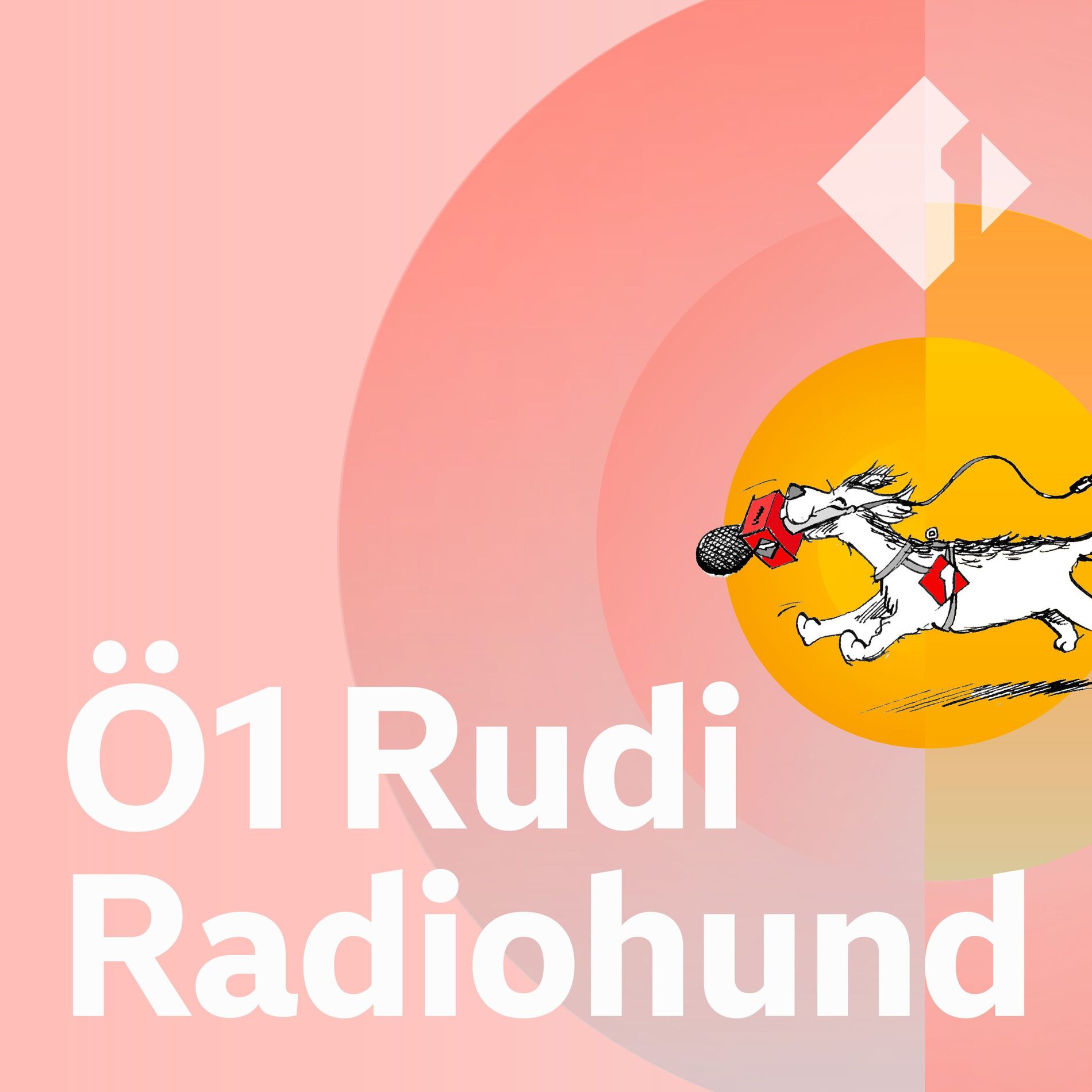 Show cover of Ö1 Rudi Radiohund