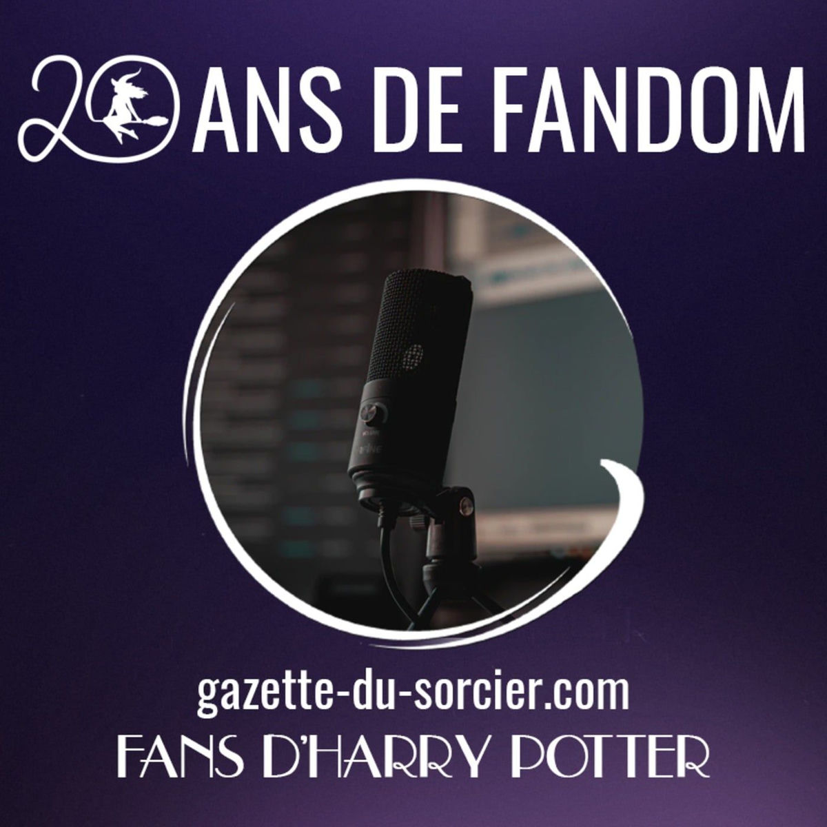 Show cover of 20 ans de fandom