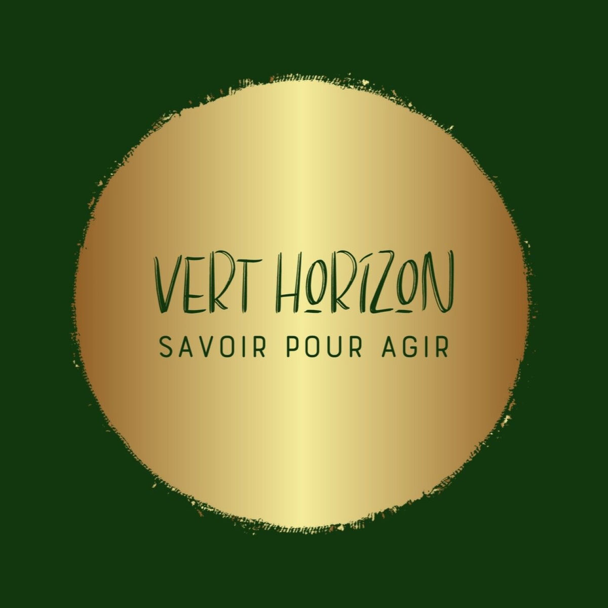 Show cover of Vert horizon