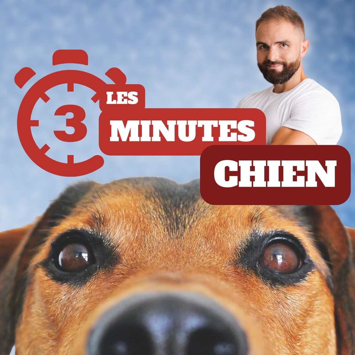 Show cover of 3 minutes chiens