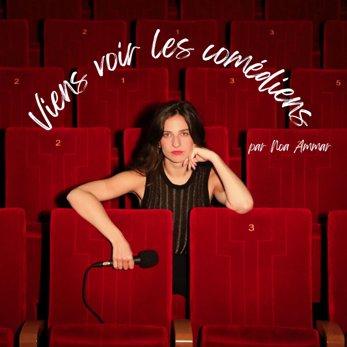 Show cover of Viens voir les comédiens