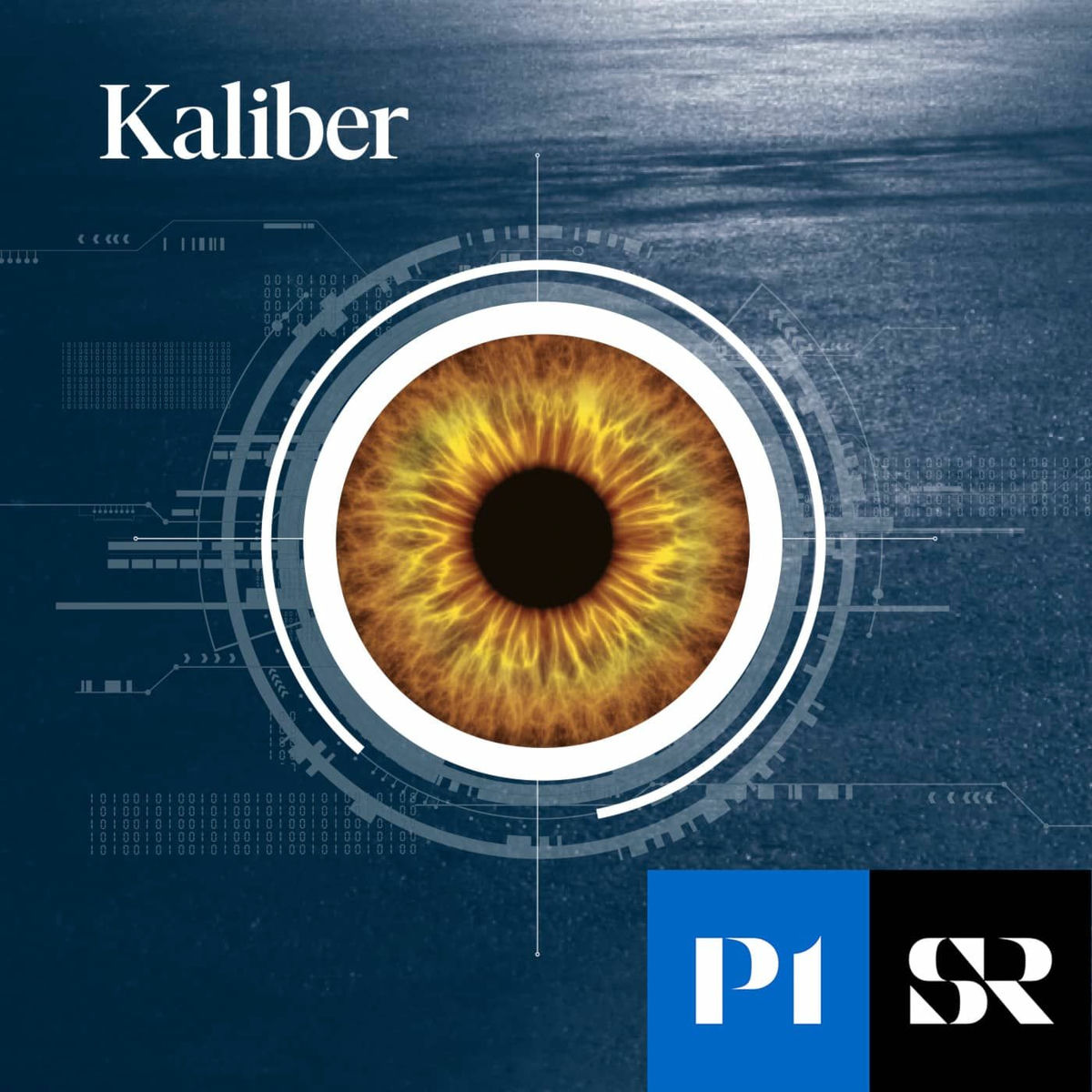 Show cover of Kaliber