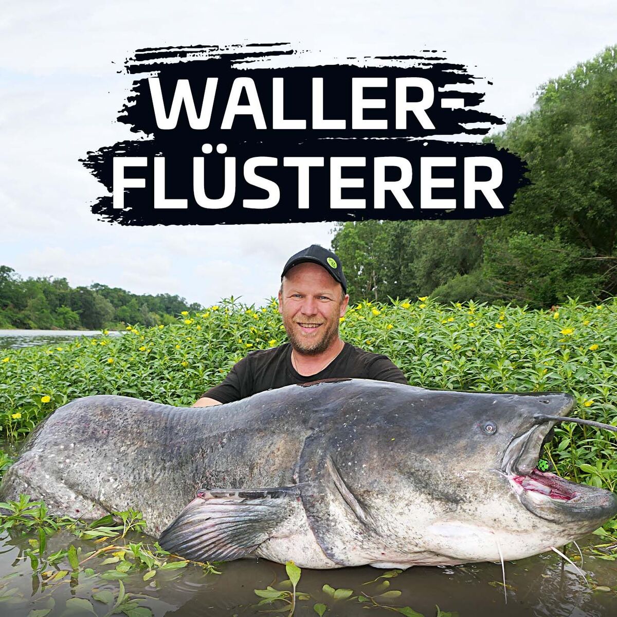 Show cover of Waller-Flüsterer
