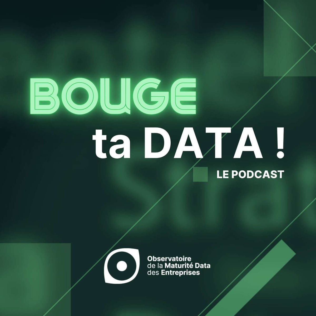 Show cover of Bouge ta Data !