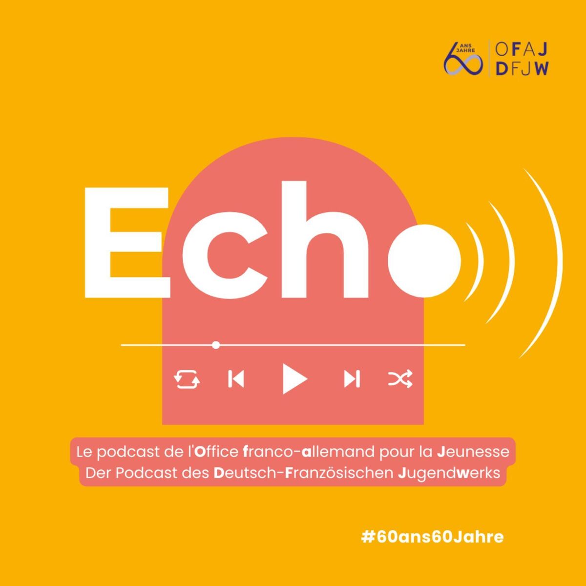 Show cover of Echo, le podcast de l’Office franco-allemand pour la Jeunesse (OFAJ)