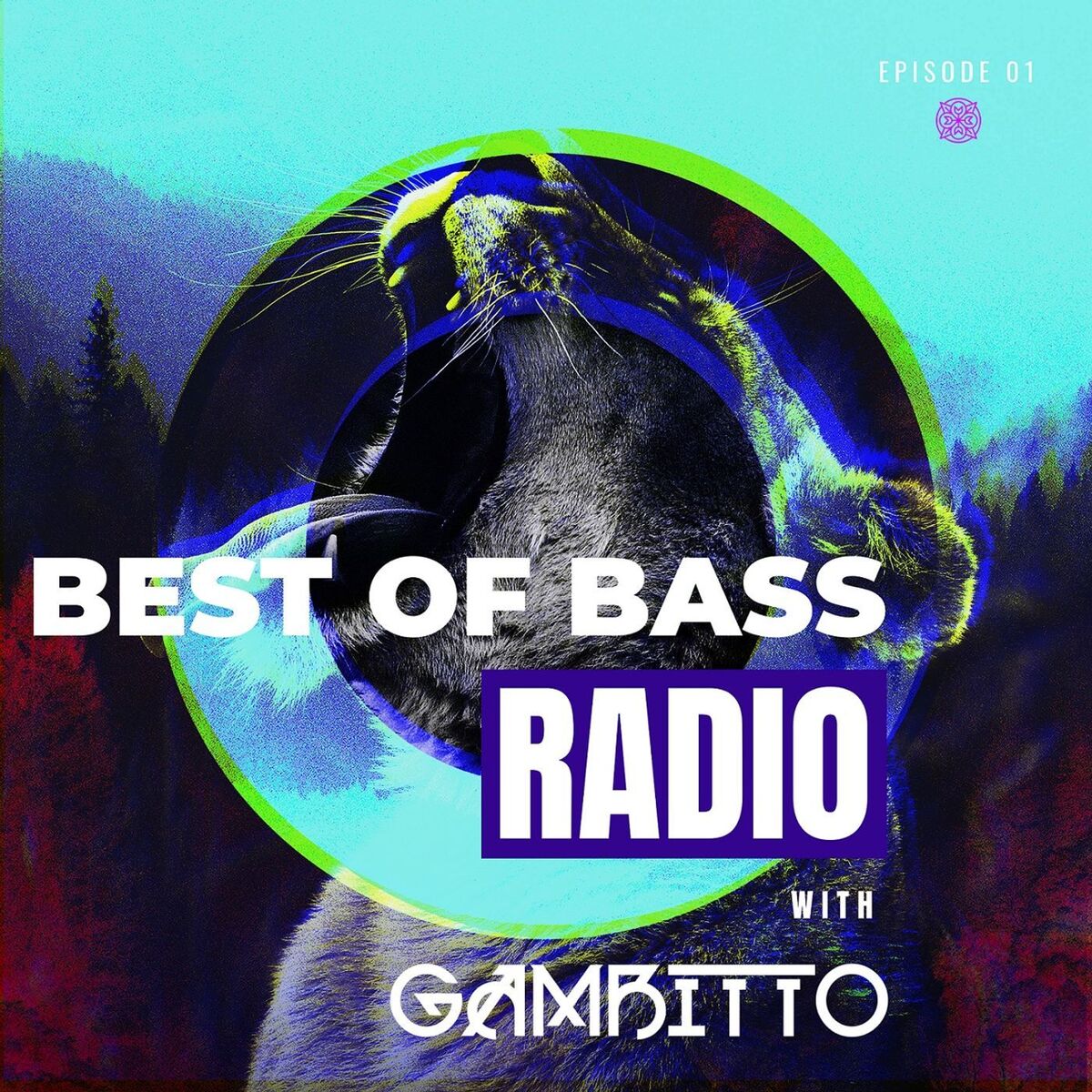 Show cover of Best of Bass