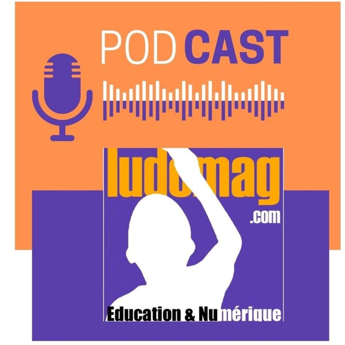 Show cover of Les Podcasts de LUDOMAG