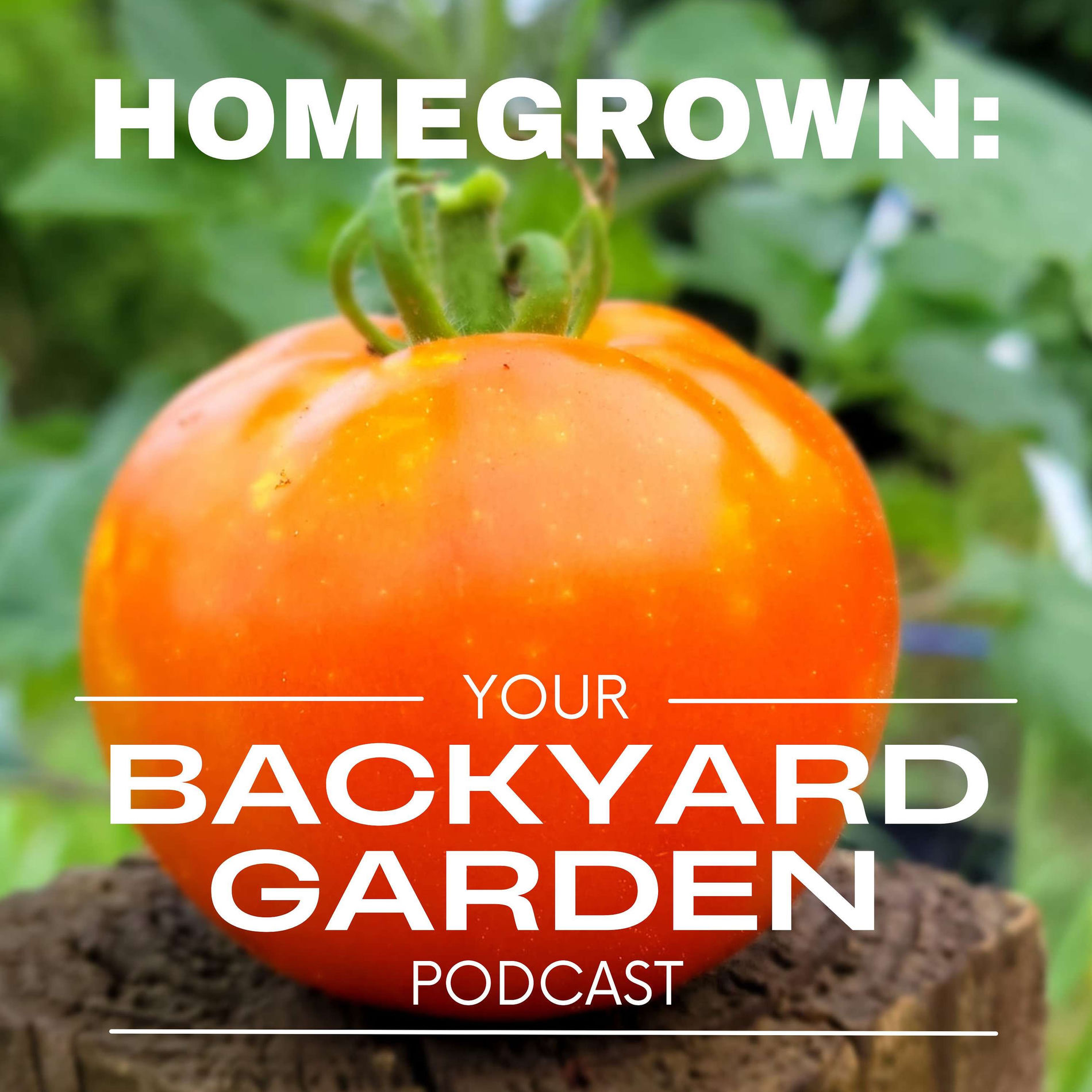 Show cover of Homegrown: Your Backyard Garden Podcast