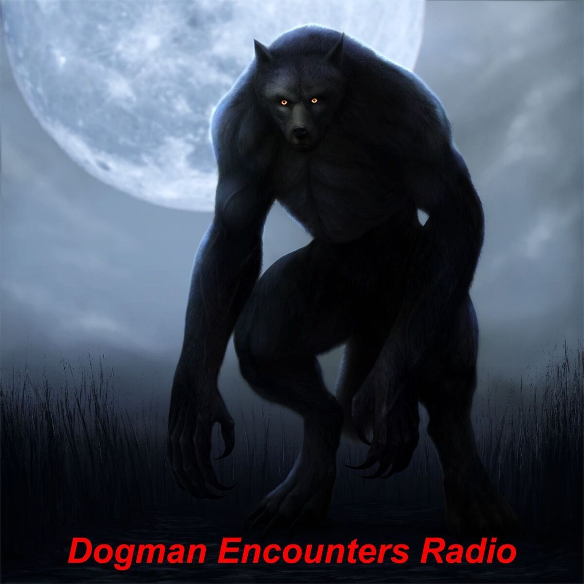Show cover of Dogman Encounters Radio