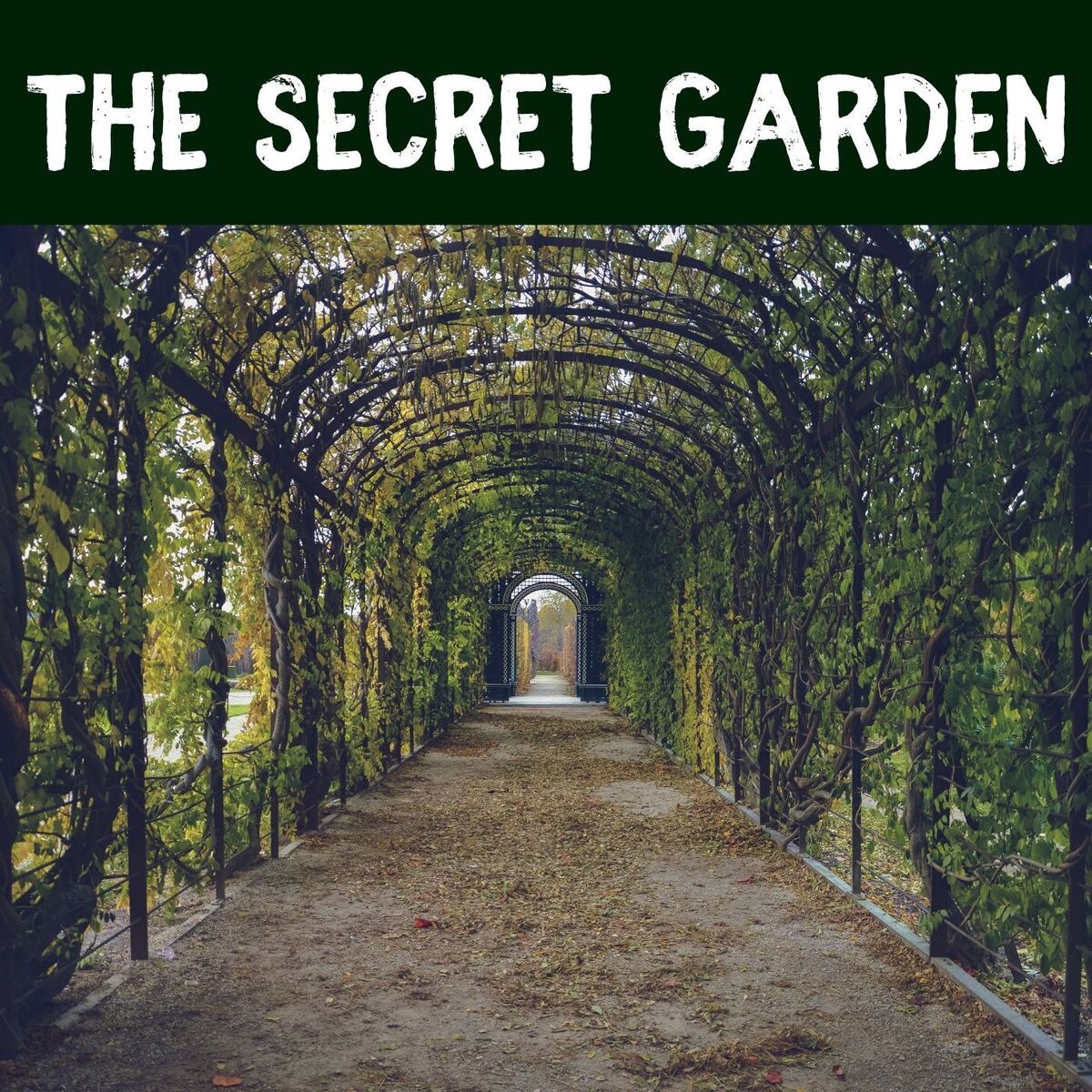 Show cover of The Secret Garden