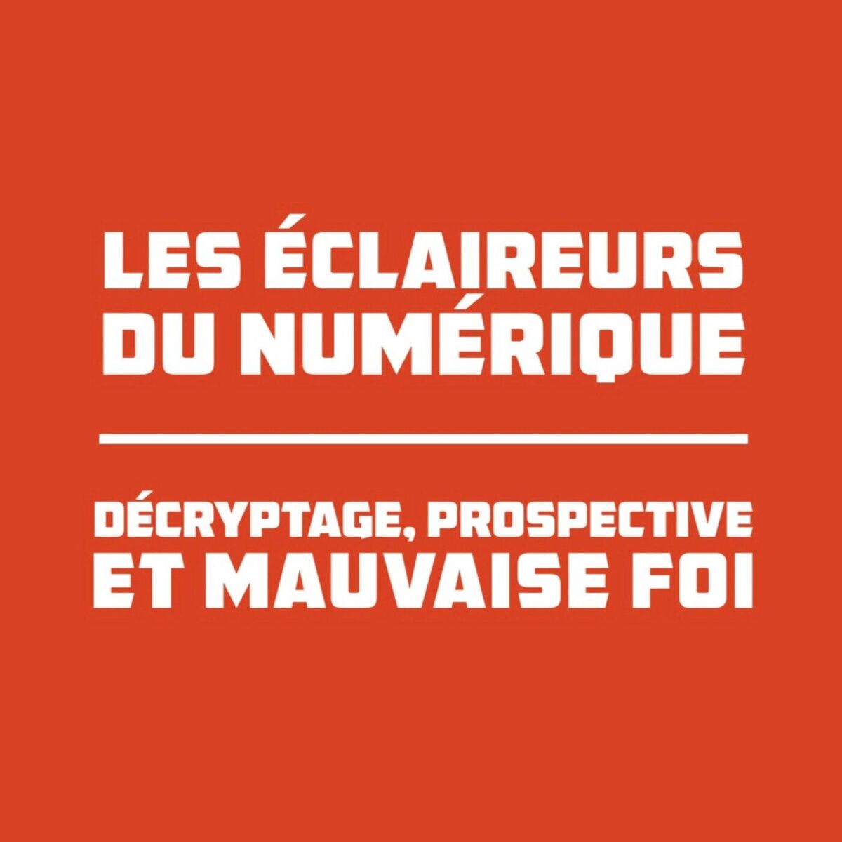 Show cover of Les Eclaireurs du Numérique