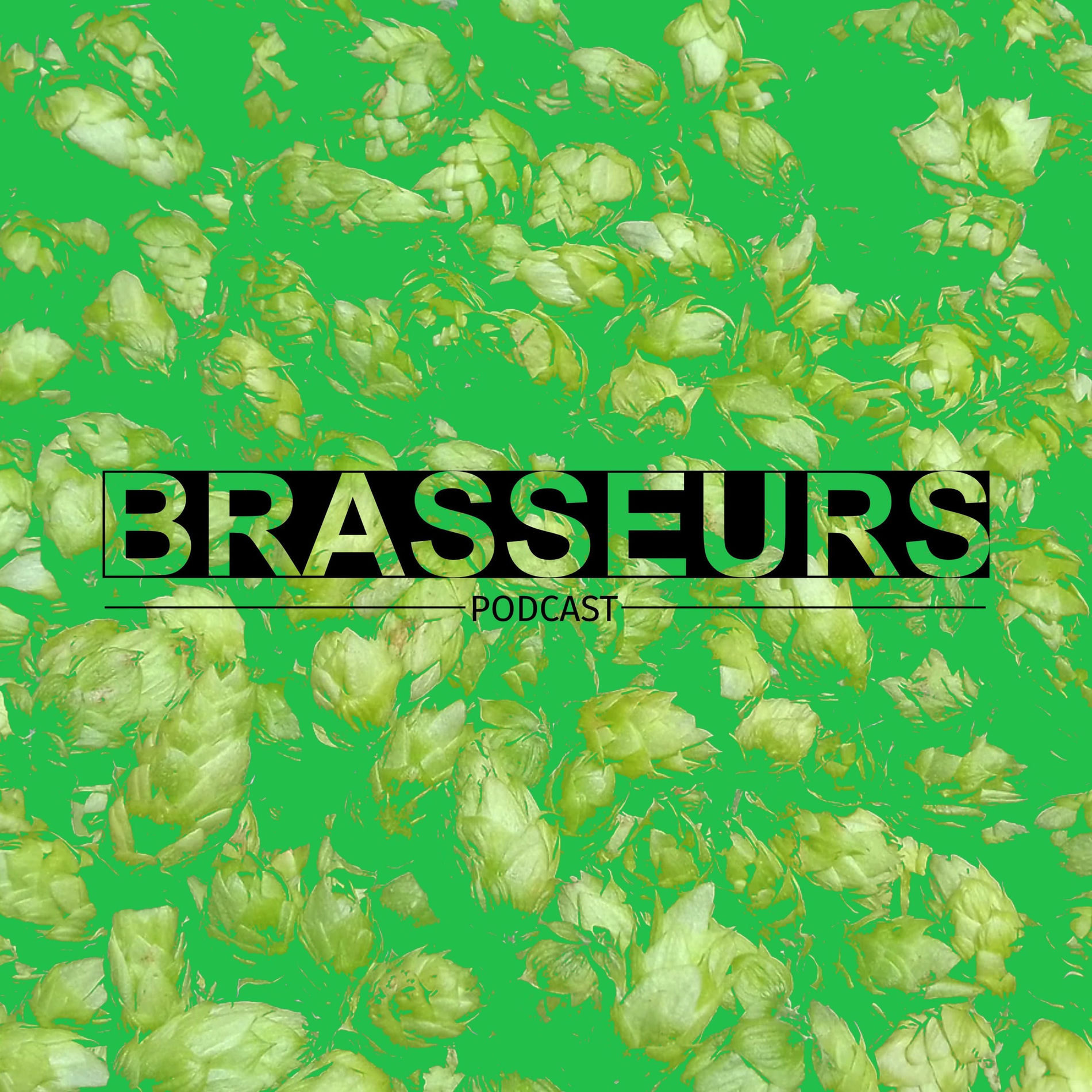 Show cover of Brasseurs